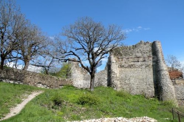 Zedazeni Fortress
